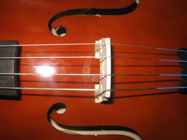 moje violončelo